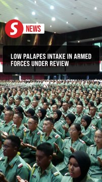 Defence Ministry targets stronger reserve force through Palapes reforms