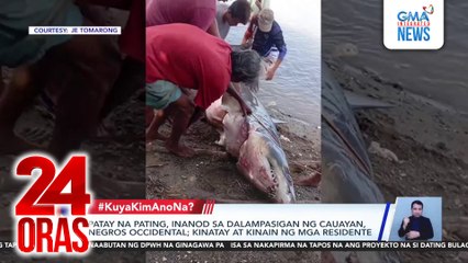 Patay na pating, inanod sa dalampasigan ng Cauayan, Negros Occidental; kinatay at kinain ng mga residente | 24 Oras
