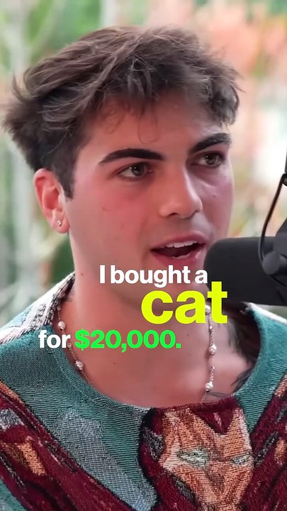 These Cats Cost $20,000 !