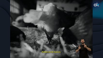 El Gobierno gasta 100.000 € en un anuncio para cambiar "por huevos" las "masculinidades tradicionales"