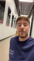 World_s Smartest Dog