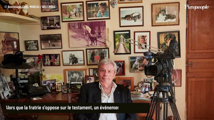 Un bien précieux a disparu à Douchy, la forteresse d'Alain Delon où il repose : sa valeur ? 17 000 euros !