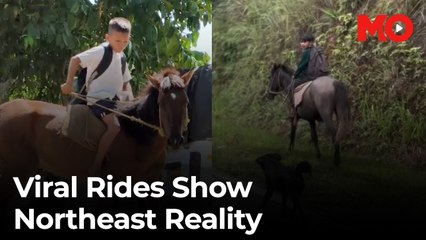 Why children in the Northeast ride horses to school
