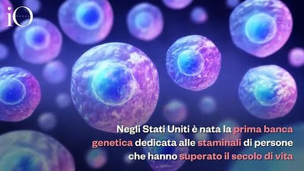 A caccia del segreto della longevità nelle cellule dei centenari trasformate in staminali