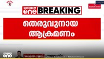 പത്തനംതിട്ട നഗരത്തിൽ തെരുവുനായ ആക്രമണം; 11 പേർക്ക് പരിക്ക്