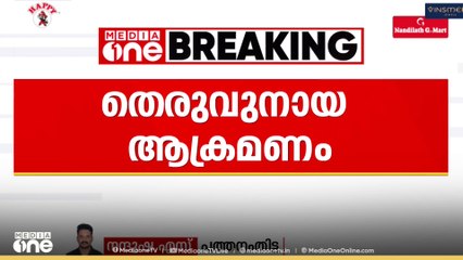 പത്തനംതിട്ട നഗരത്തിൽ തെരുവുനായ ആക്രമണം; 11 പേർക്ക് പരിക്ക്