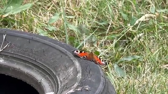 Fly Tipping At Mardy Park