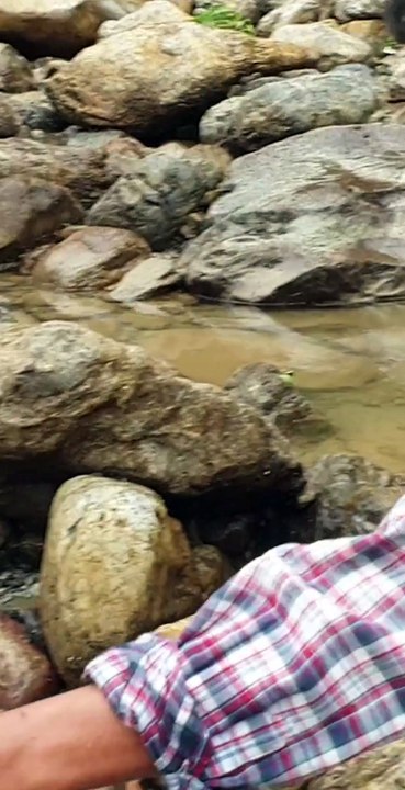 duwali fishing in Nepal | himalayan trout fishing technique |
