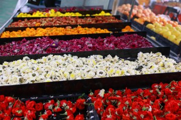 Onam Festival Celebrations 🌸