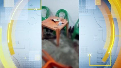 Vítima Recifense Escapa de Relacionamento Abusivo e Violento: Um Relato Perturbador de Possessividade e Violência no Zumbi do Pacheco