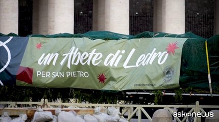 A Piazza San Pietro è arrivato il gigantesco abete per festeggiare il Natale
