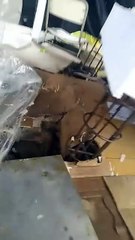 Colaboración Bachi 2: ¡Descubre la Nueva Alianza que Está Revolucionando!