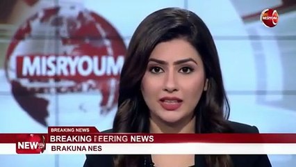 سفير فلسطين في القاهرة: مصر سند وداعم رئيسي لحقوق شعبنا