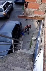 Atrapa un Guacamayo 🦜