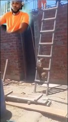 Experience is the best teacher