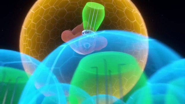 Sounds and Visions _ Grizzy _ the lemmings _ 30' Compilation _ 🐻🐹 Cartoon for Kids