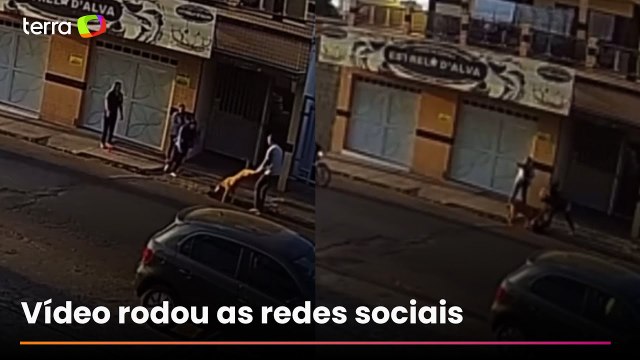 Idoso perde parte do dedo ao tentar separar briga de cachorros em MG