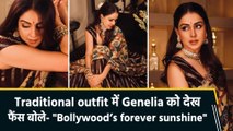 Genelia Deshmukh का राजकुमारी inspired look, शेयर की खूबसूरत तस्वीरें