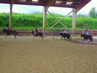 les poneys qui sautent