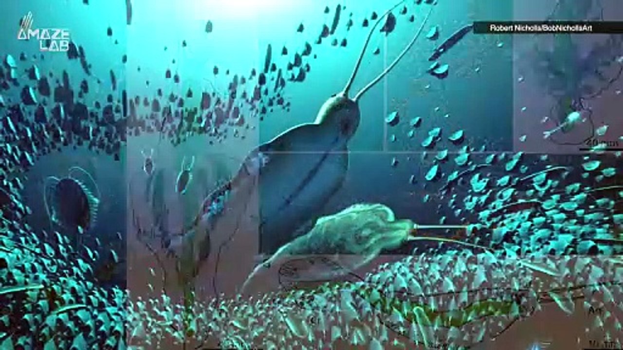 Before Sharks, This Giant Worm Actually Ruled t...