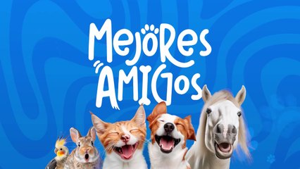 tn7-publireportaje-banco-popular-030925