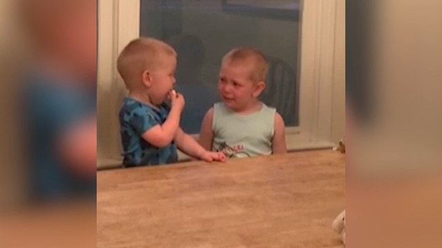 Toddler Temptation Challenge