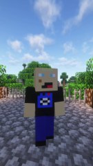 Un KIKOO possède l'armure galactique sur Minecraft ! 🤯