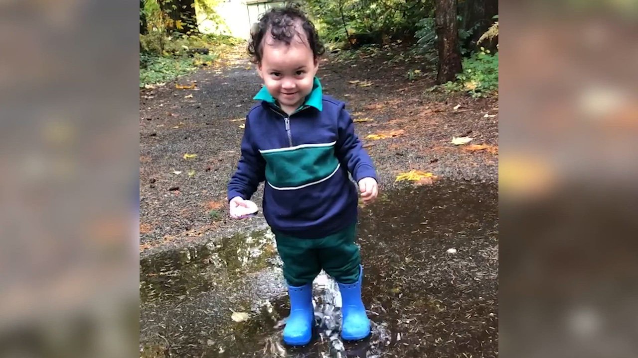 Kids Are Wrong About Nature