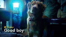 Good boy - Trailer subtitulado en español