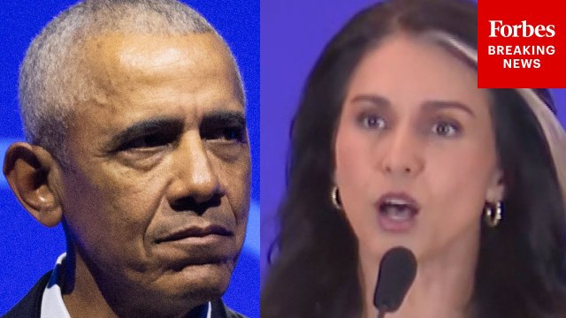Tulsi Gabbard Accuses Obama, More Of Knowingly Creating False Intel After Trump's 2016 Win