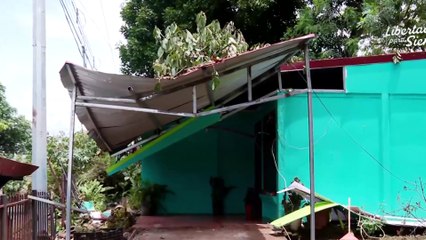 tn7-arbol-de-gran-tamaño-cae-sobre-casa-y-parada-de-autobus-040925