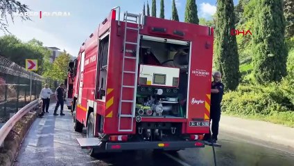 Şişli’de ağaçlık alanda yangın