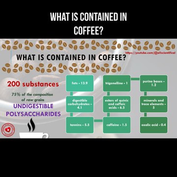Coffee composition: What is contained in coffee?