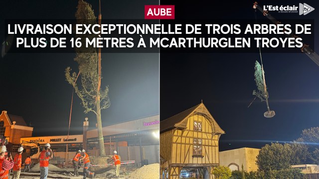 Convoi exceptionnel à McArthurGlen Troyes avec trois arbres de plus de 16 mètres