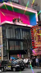 巨大ネコ Kyodai Neko  Shinjuku - ネコ🐈ちゃん