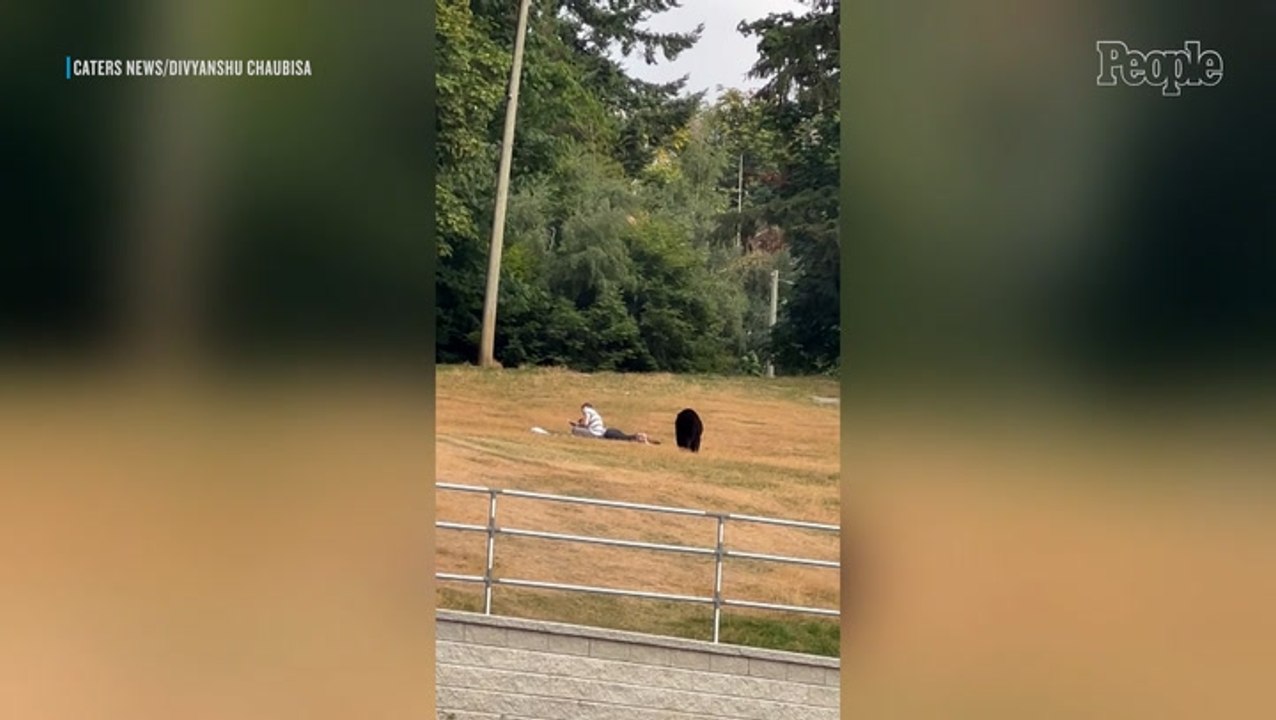 Nerve-Wracking Footage Shows Wild Bear Creeping Closer Toward Oblivious Couple Sitting in Park