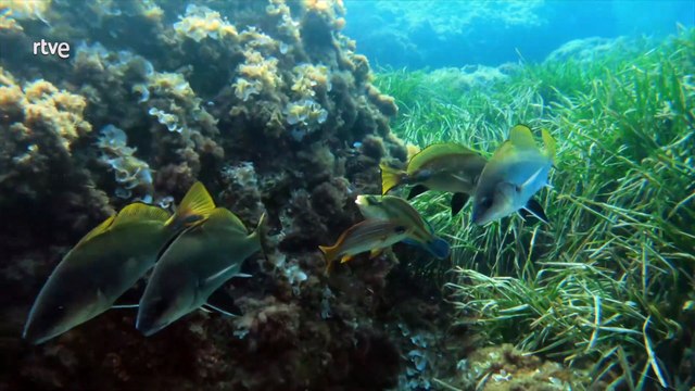 Reduce tu Huella - Almería, entre el desierto y el mar