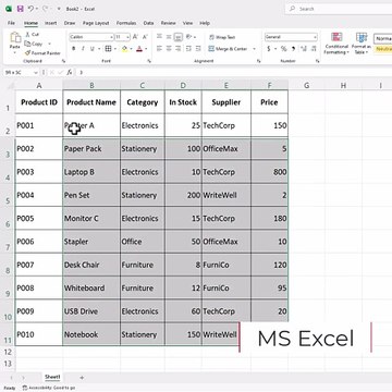 MS Excel Using filters