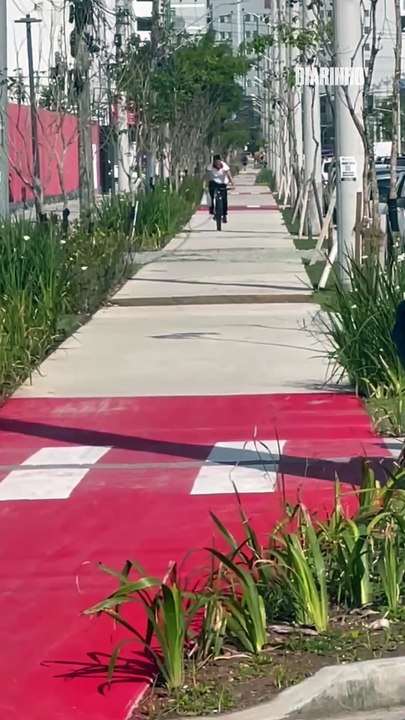 Ciclovias não dão conta da onda de patinetes e motos elétricas
