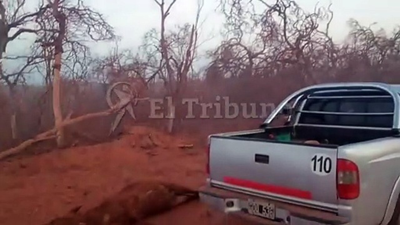 Pichanal: Pozos en Lomas de Olmedo liberan gas...