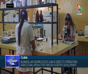 Cuba | Bioprocesos Cuba-10 scientists work to boost crop production
