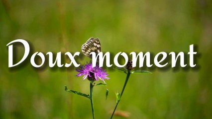 Relaxation Piano Instrumental 🎶 | Calming Music for Stress Relief