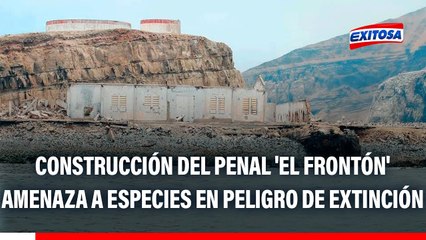Construcción del penal 'El Frontón' amenaza a especies en peligro de extinción