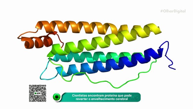 A proteína que pode reverter o envelhecimento cerebral: Nova esperança para a mente.