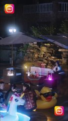 Mi cachorro amnésico director ejecutivo