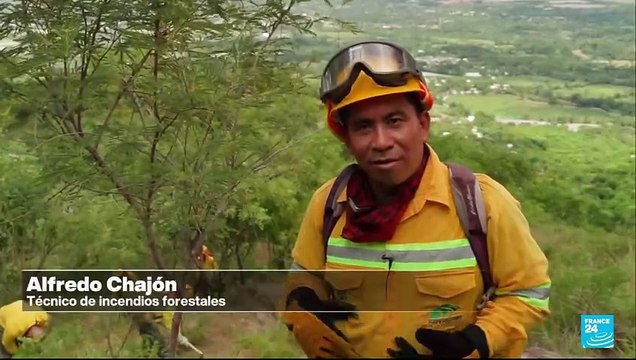 Amenaza a la biodiversidad de Guatemala: incendios, pérdida de especies silvestres y tráfico ilegal