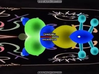 Baby Einstein Logo Effects 3 In L Major