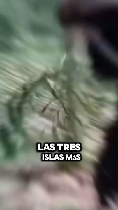 💡 Curiosidad: Estas islas son ejemplos de cómo la naturaleza, la cultura humana y los errores históricos pueden crear lugares verdaderamente aterradores. 😨🌍¿Cuál de estas islas te parece más peligrosa? ⬇️ ¡Déjanos tu comentario! 👇