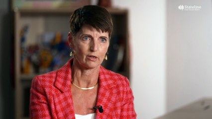 New South Wales families minister discusses future of child protection after series of sector abuse allegations