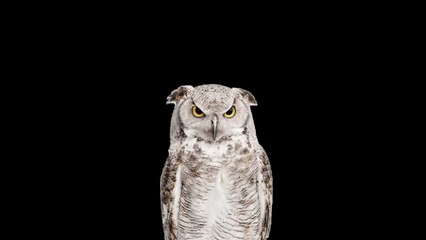 EL ICEBERG DE LOS MUNDIALES: Misterios, Teorías y Curiosidades EXPLICADAS